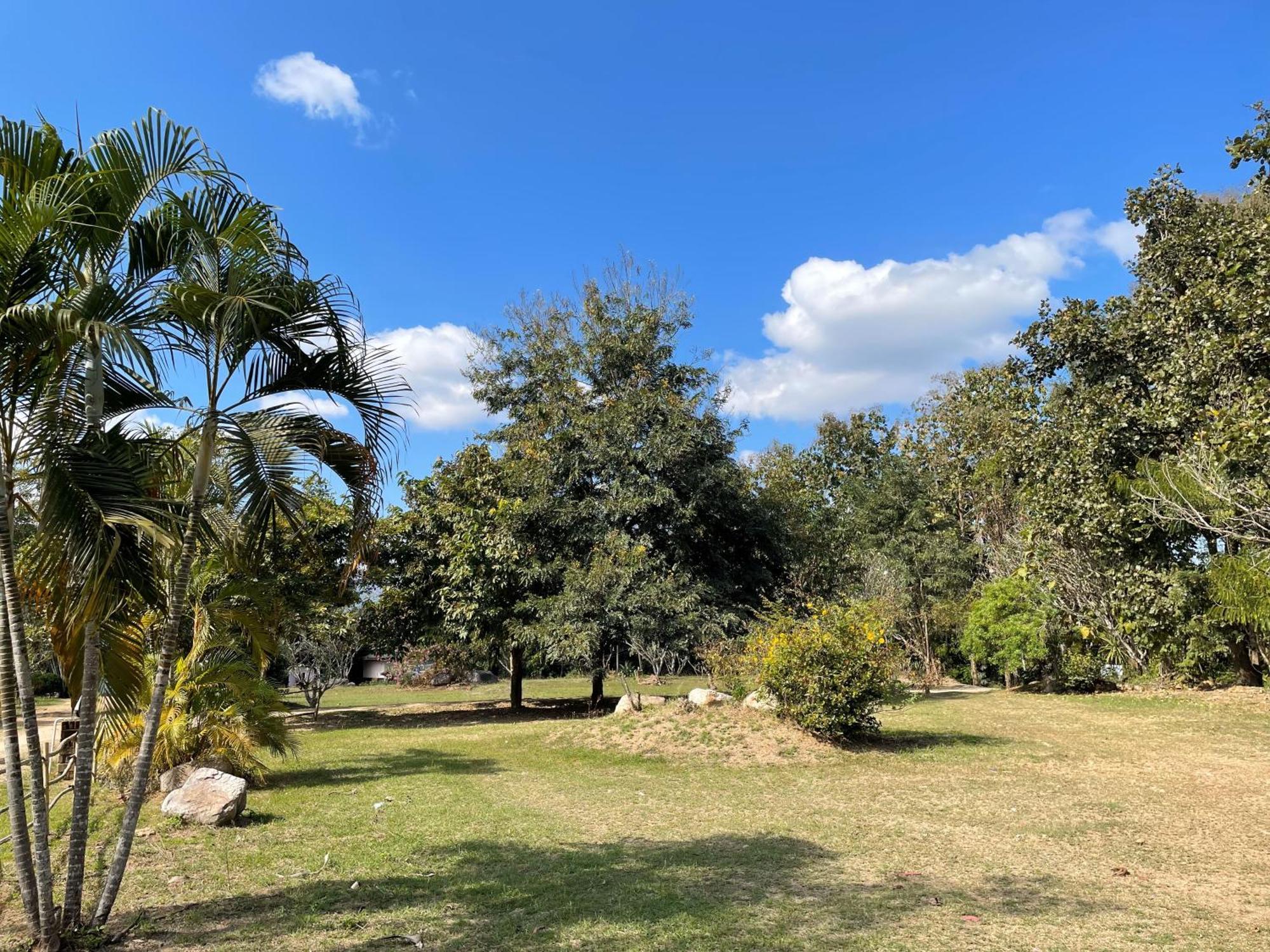 Pai Kiniman Resort المظهر الخارجي الصورة