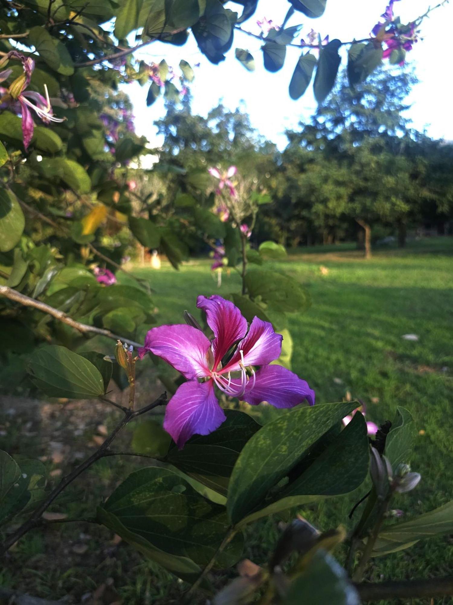 Pai Kiniman Resort المظهر الخارجي الصورة