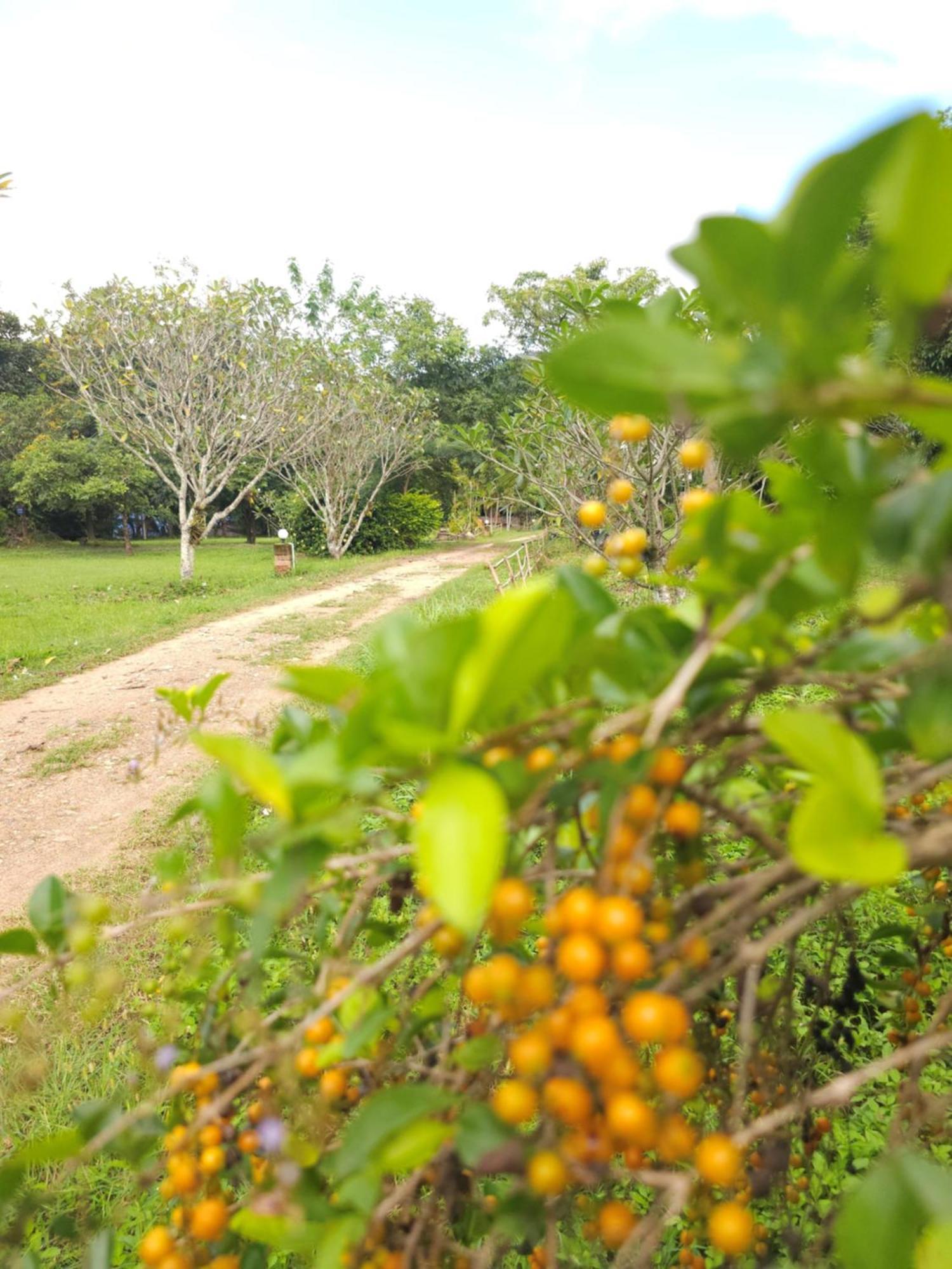 Pai Kiniman Resort المظهر الخارجي الصورة